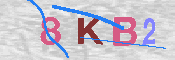 キャプチャ画像