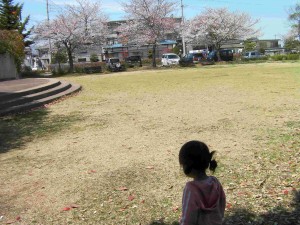 アカデミア館の公園1