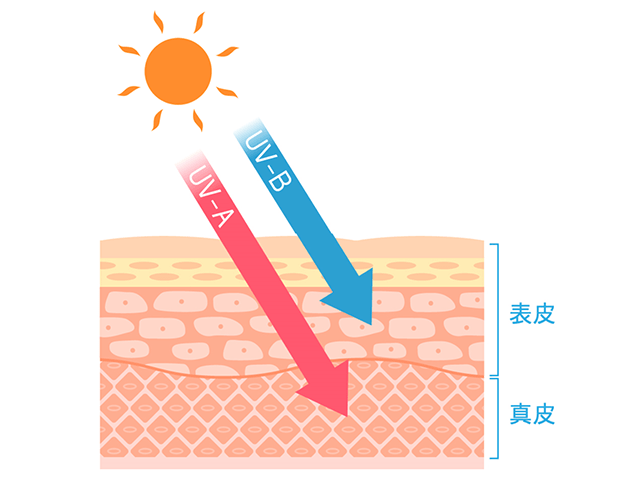 お子様の紫外線対策　日焼け止めの選び方・使用の仕方