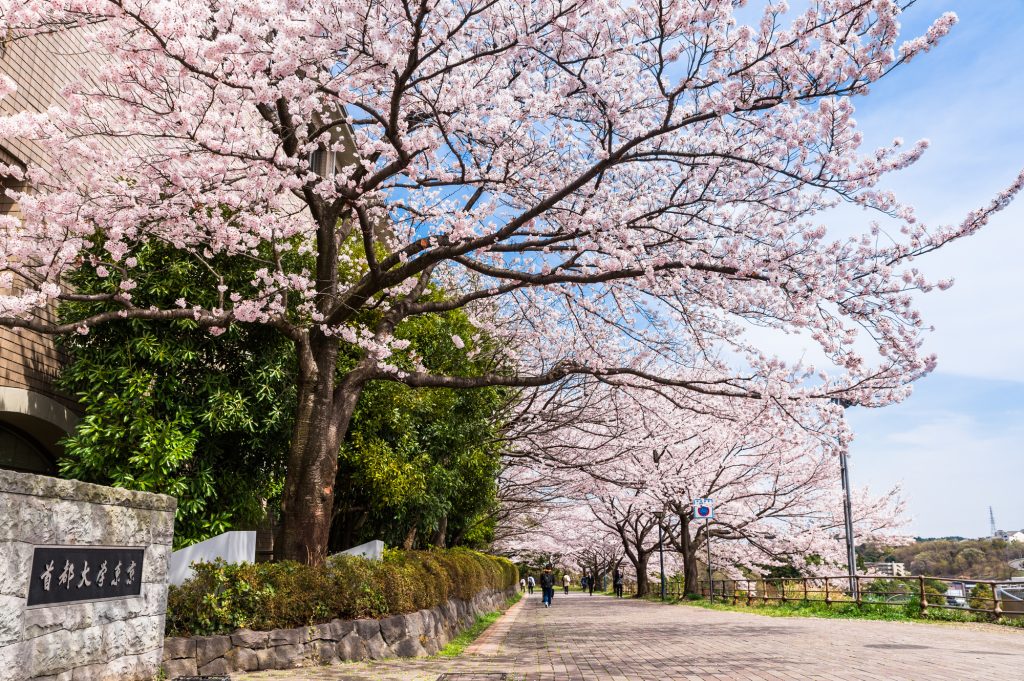 SNSで「＃春から○○大」に注意した方がいい理由【保護者の方必見】大学の新入生を狙うカルト・悪徳商法被害に遭わない方法