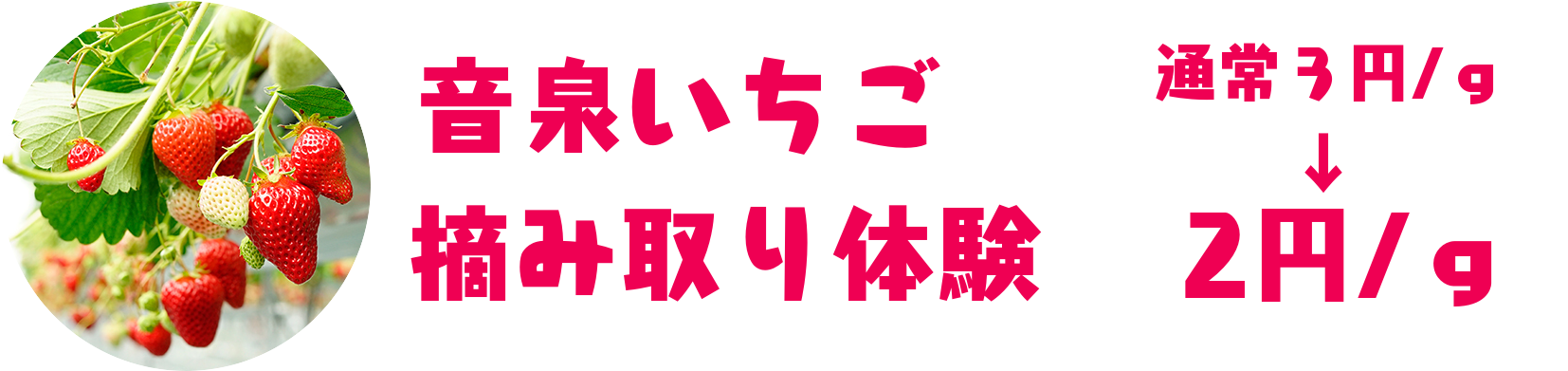 7月3日・4日松本市浅間温泉わいわい広場でいちご祭り＆クラフト、音楽イベント開催します