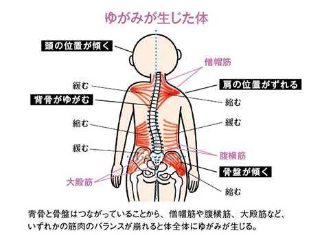 松本の小顔サロンオーナーが書く美容コラム2．「身体の歪みと新陳代謝について」